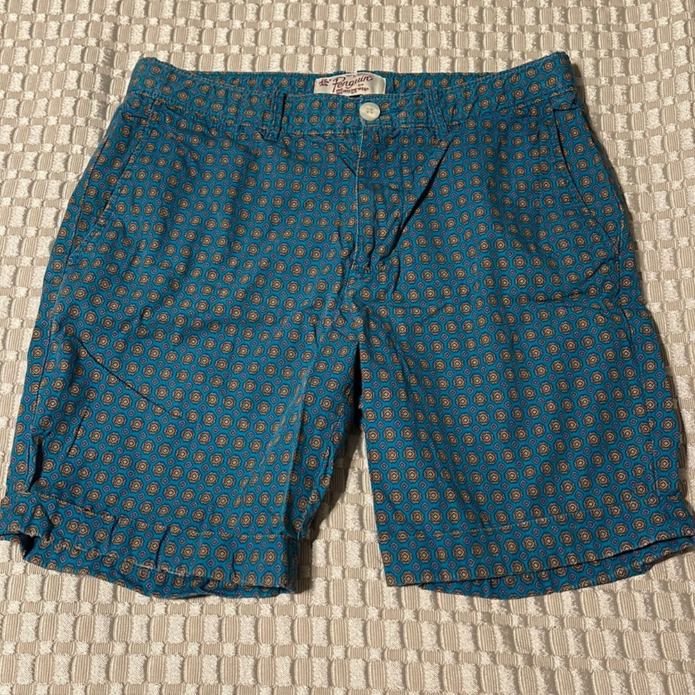 Blue/Green shorts men sized medium penguin brand